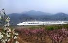 核電站用1E級電纜研制成功