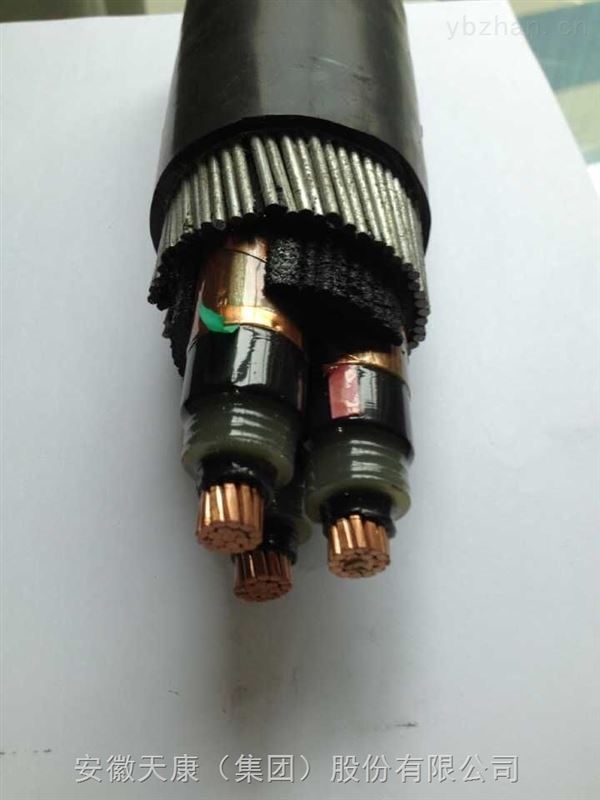 安徽天康高壓電纜：電力傳輸?shù)膭用}，助力現(xiàn)代能源網(wǎng)絡(luò)發(fā)展